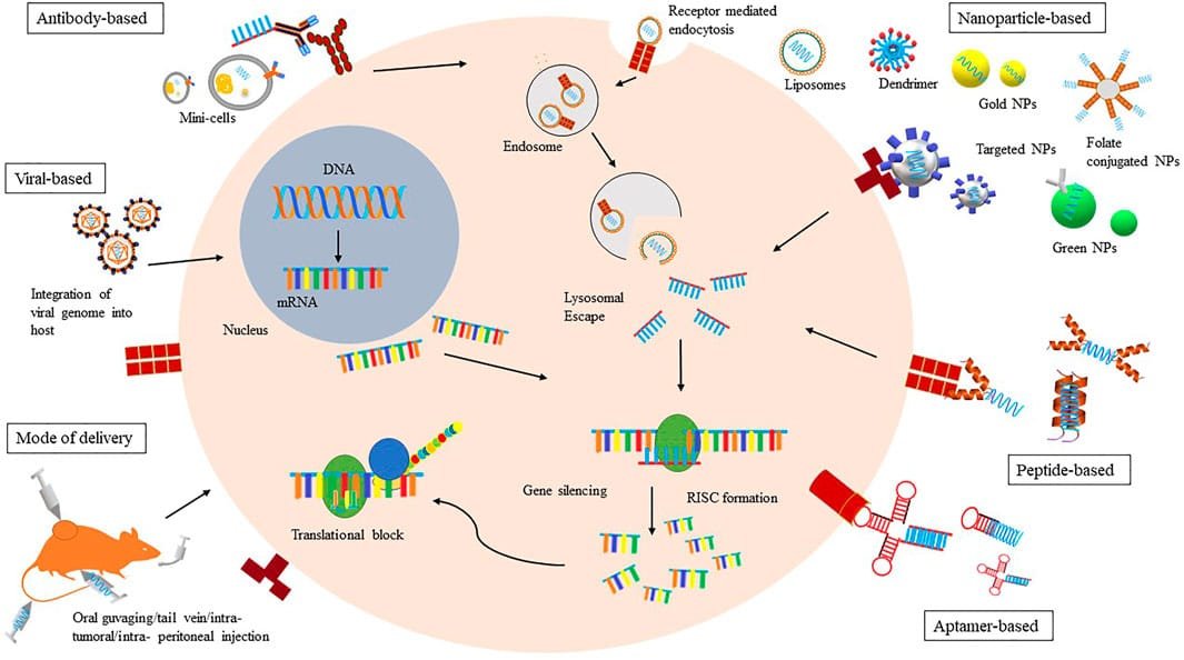 RNA Interference