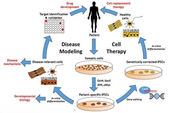 Stem Cell Technology